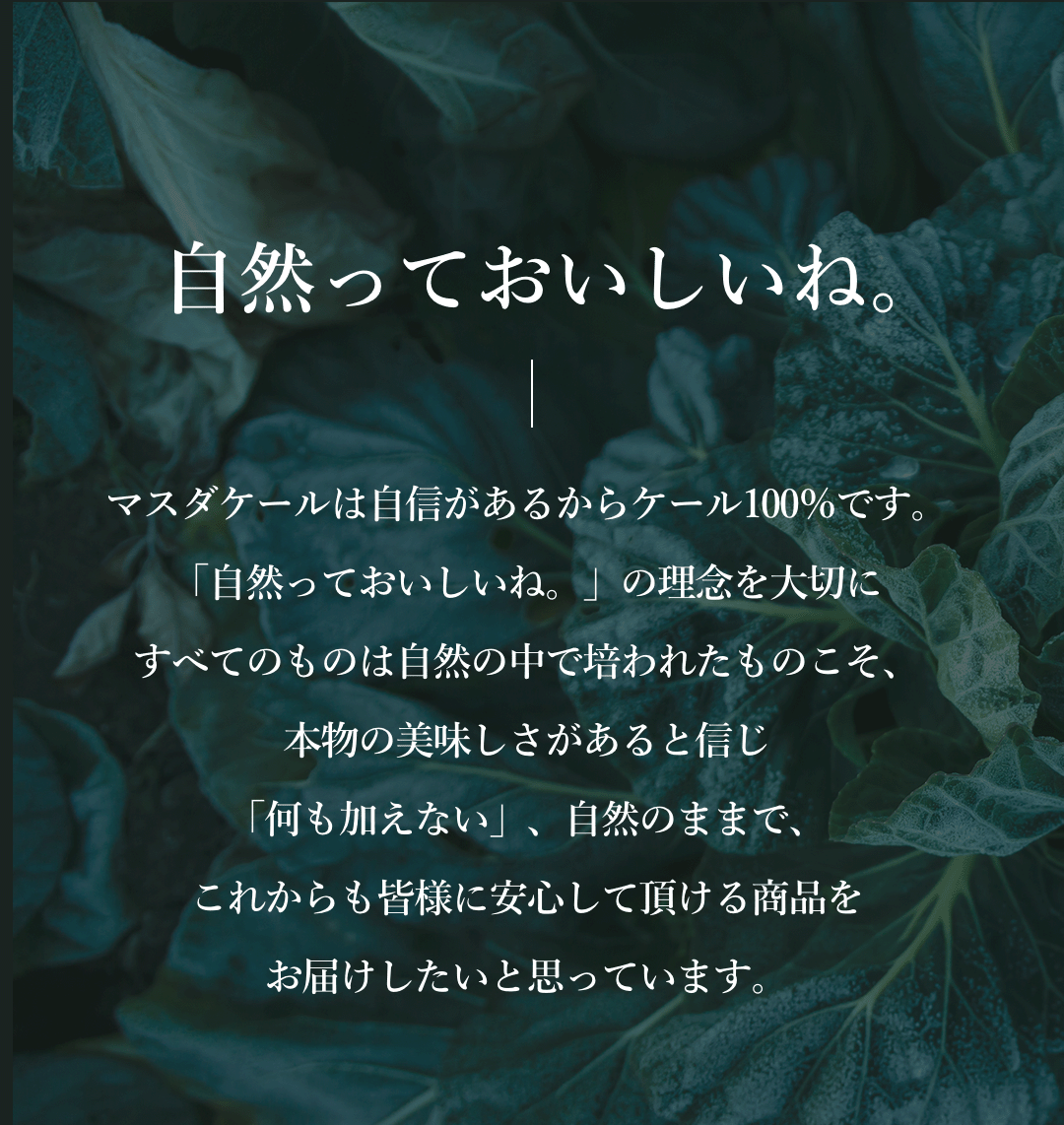 栄養っておいしいね