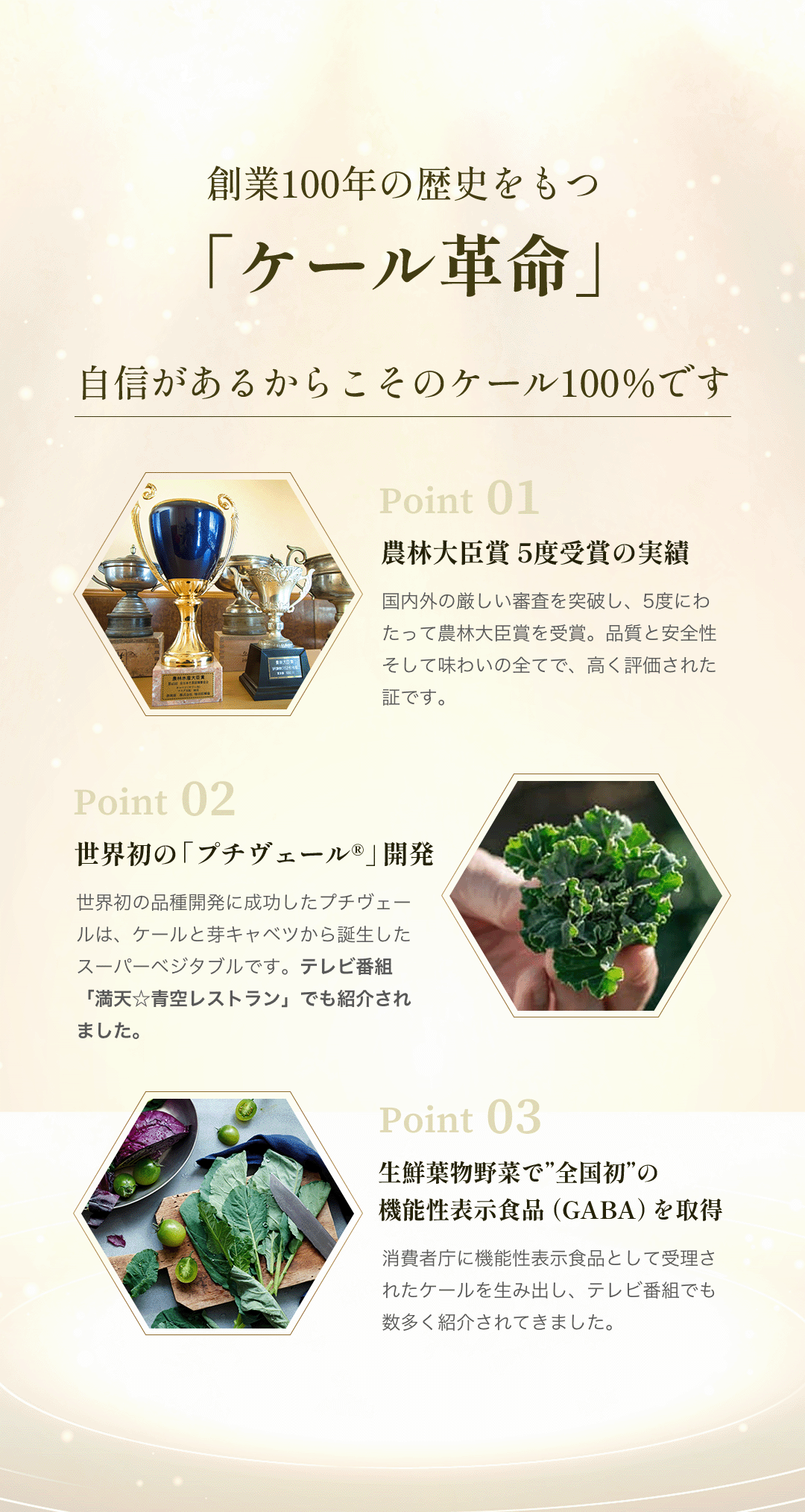 創業100年の歴史のケール革命