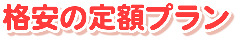 格安の定額プラン