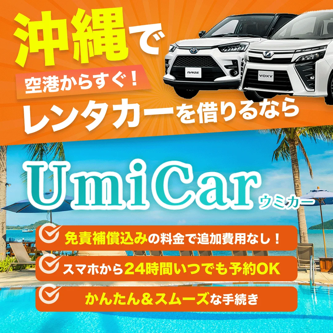 レンタカーバナー2